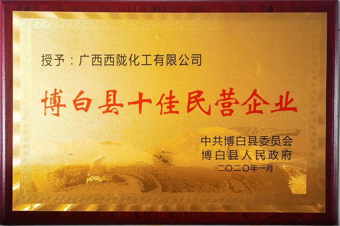 西隴十佳企業(yè)獎(jiǎng).jpg